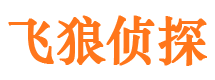 伊春市私家侦探公司